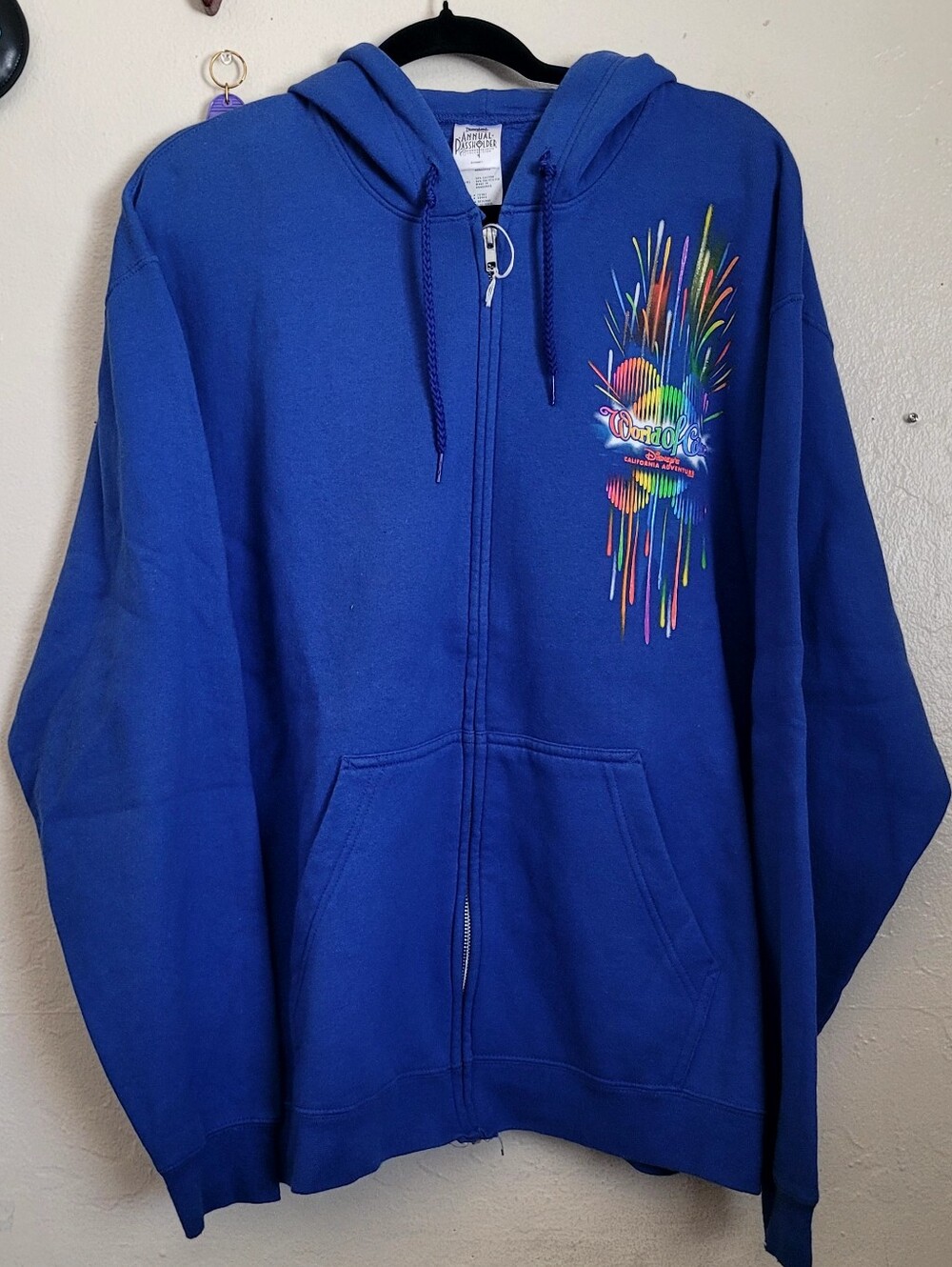 Disneyland World of Color Hoodie